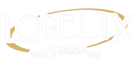 Logo Lobelix